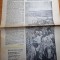 albina 2 iulie 1958-art. regiunea constanta,invatatorul din codlea,bailesti