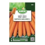 Seminte legume Amia A, morcov Nantaise Amelioree 2