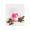 Odorizant de camera spray Cirese