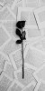 Husa Personalizata ALLVIEW V1 Viper I Black Rose