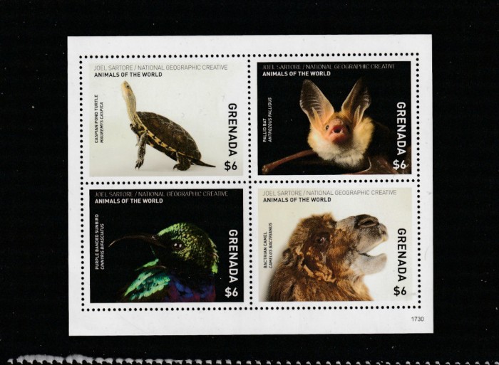 Grenada 2017-Fauna,bloc 4 valori, dantelate,MNH,Mi,7440-7443KB