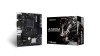 MB BIOSTAR A520MHP 6.0 AM4 DDR4