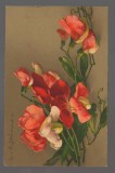 CPIB 20853 - CARTE POSTALA, FELICITARE - FLORI, CYCLAMEN, 1946, Circulata, Printata