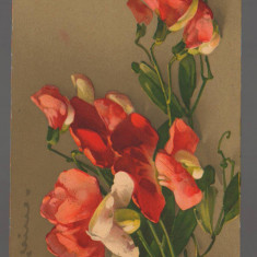 CPIB 20853 - CARTE POSTALA, FELICITARE - FLORI, CYCLAMEN, 1946