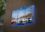 Tablou Canvas cu Led Mangalia, Multicolor, 66 x 45 cm