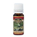 Cumpara ieftin Esenta aromata salvie