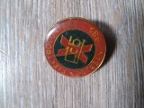 Insigna Industrie 8 Electrocontact Botosani