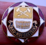 I.490 INSIGNA AUSTRIA BAD HOFGASTEIN STEMA EMBLEMA