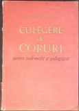 CULEGERE DECORURI PENTRU SCOLI MEDII SI PEDAGOGICE-D.D. BOTEZ, N. POPESCU-353072
