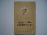 Imbunatatirea bazei melifere - M. Copaitici