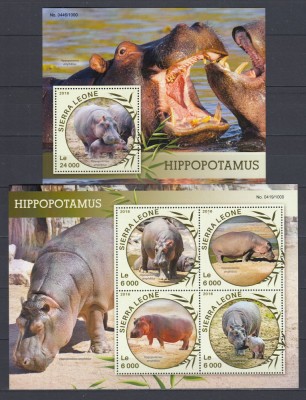 Sierra Leone 2016 - HIPOPOTAMI - Sh + S.S. - MNH foto