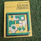 CARTEA MOZAICARULUI SI FAIANTARULUI - CONSTANTIN ROSOGA