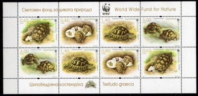 Bulgaria 2016 - Fauna: WWF Spur-thighed Tortoise - m/s de 2 seturi MNH foto