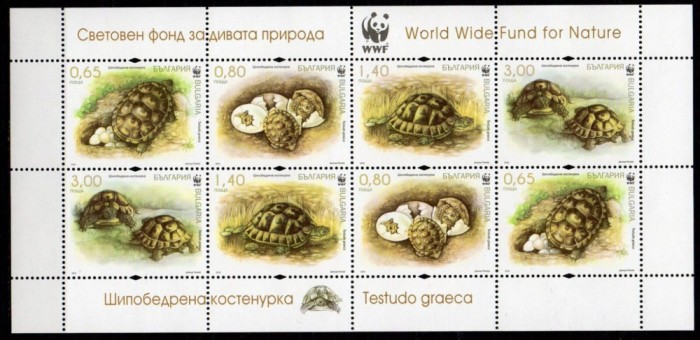 Bulgaria 2016 - Fauna: WWF Spur-thighed Tortoise - m/s de 2 seturi MNH