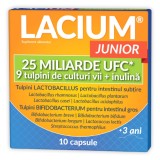 Lacium Junior 25 miliarde UFC, 10 capsule, Zdrovit