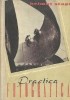 Practica fotografica (traducere din limba germana)