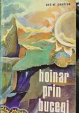 Hoinar prin Bucegi - Andrei Pandrea