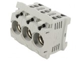 Clemă Protecție Echipamente Distribuție D02 63A 400V