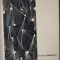 DAN LAURENTIU - POZITIA ASTRILOR (VERSURI) [volum de debut, EPL 1967]