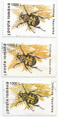 Rom&amp;acirc;nia, LP 1404/1996, Insecte I (uzuale), nuanțe diferite de culoare, oblit. foto