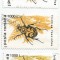 Rom&acirc;nia, LP 1404/1996, Insecte I (uzuale), nuanțe diferite de culoare, oblit.