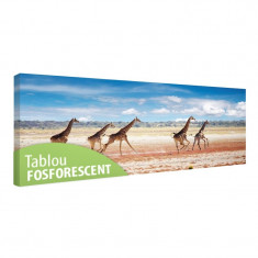 Tablou fosforescent Girafe alergand foto