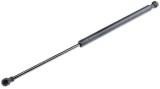 Amortizor portbagaj Fiat Grande Punto 10.2005- 199 51778432, Nty