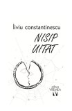 Nisip uitat - Liviu Constantinescu