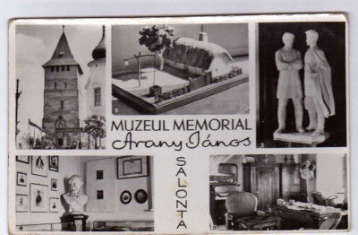 MOZAIC SALONTA MUZEUL MEMORIAL ARANY JANOS RPR foto