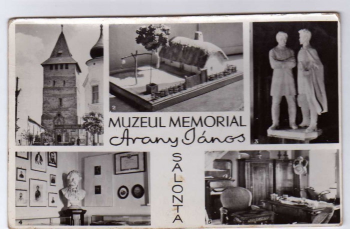 MOZAIC SALONTA MUZEUL MEMORIAL ARANY JANOS RPR