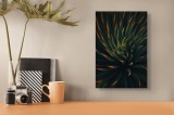 Tablou Canvas, "Frumusețea frunzelor de agavă &icirc;n spirală", Frunze, &Icirc;ntunecat, Apus, Succulentă, Spirală, Ascuțite, Verde, Portocaliu, Contrast, Natură
