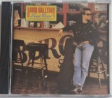 David Hallyday &ndash; True Cool _ NM / NM [ cd ] rock AOR Scotti Bros 1988 Germania
