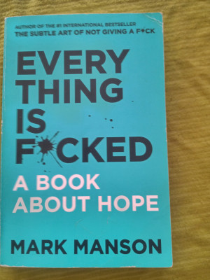 Everything is fached-a book about hope-Mark Mason foto