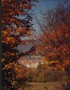 CPI B13228 CARTE POSTALA - CETATEA SIGHISOARA, Necirculata, Fotografie