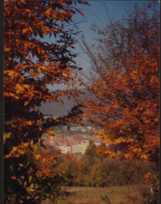 CPI B13228 CARTE POSTALA - CETATEA SIGHISOARA