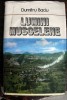 Lumini muscelene de Dumitru Baciu 1980