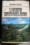 Lumini muscelene de Dumitru Baciu 1980