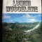 Lumini muscelene de Dumitru Baciu 1980