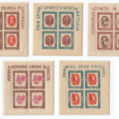 |Romania, LP 197a/1946, Tineretul Progresist, in blocuri de 4, MNH