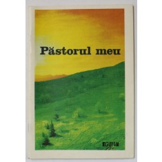PASTORUL MEU , 1994