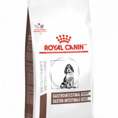 Royal Canin VHN Dog Gastrointestinal Puppy 1 kg