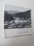 Manastirea Agapia - Petre Lupan