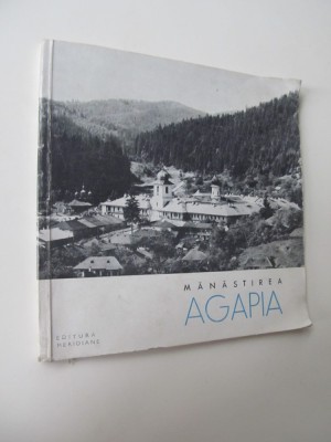 Manastirea Agapia - Petre Lupan foto