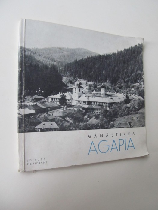 Manastirea Agapia - Petre Lupan