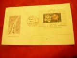 Plic FDC - Cosmos 1963 cu Colita Cehoslovacia