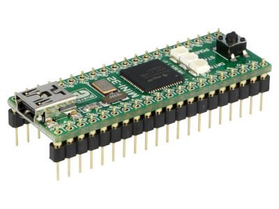 Placă Prototip Microchip PIC32 MINI-32 Board foto