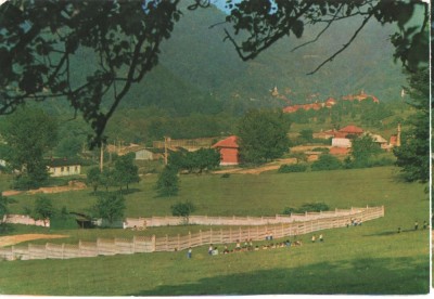 CPI B 11533 CARTE POSTALA - NUCET foto