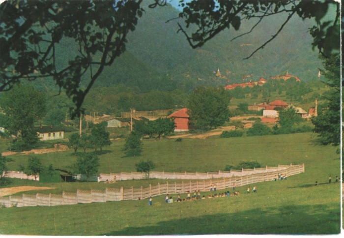 CPI B 11533 CARTE POSTALA - NUCET