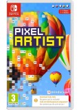 Pixel Artist NSW