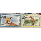 (B ) Timbre serii Straine tema Vulpi Mongolia Animale Fauna